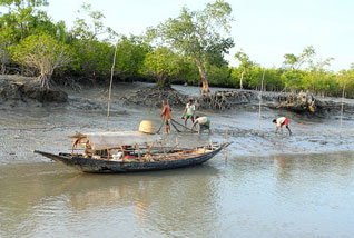 sundarban_bhroman